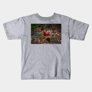 Crimson Rosella_3650A Kids T-Shirt